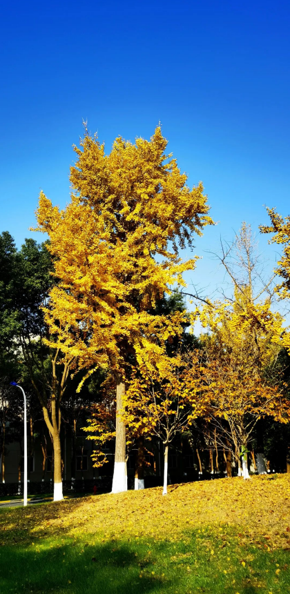 271701043688410275.png image.png